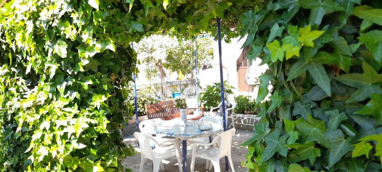 Appartamento Το Σπίτι Της Ελένης Vlachia Esterno foto