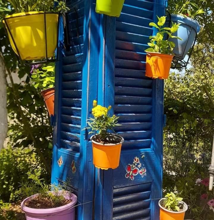 Appartamento Το Σπίτι Της Ελένης Vlachia Esterno foto