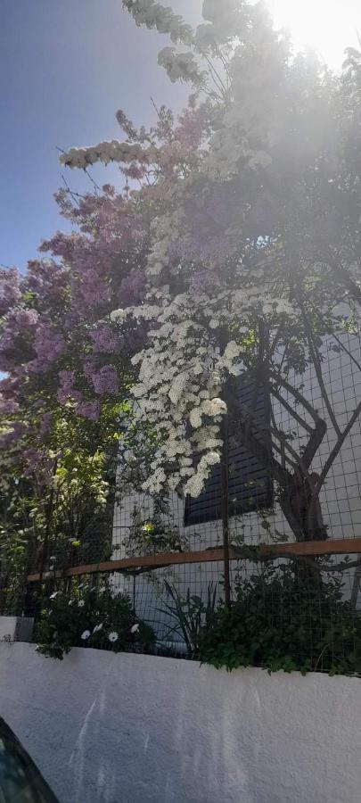 Appartamento Το Σπίτι Της Ελένης Vlachia Esterno foto