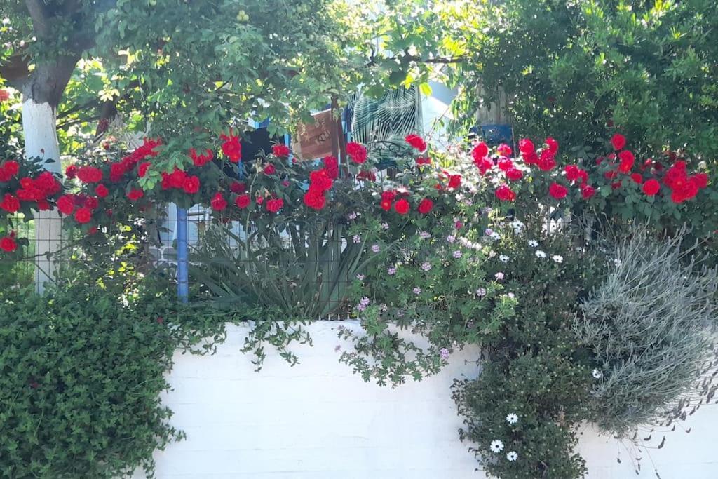 Appartamento Το Σπίτι Της Ελένης Vlachia Esterno foto