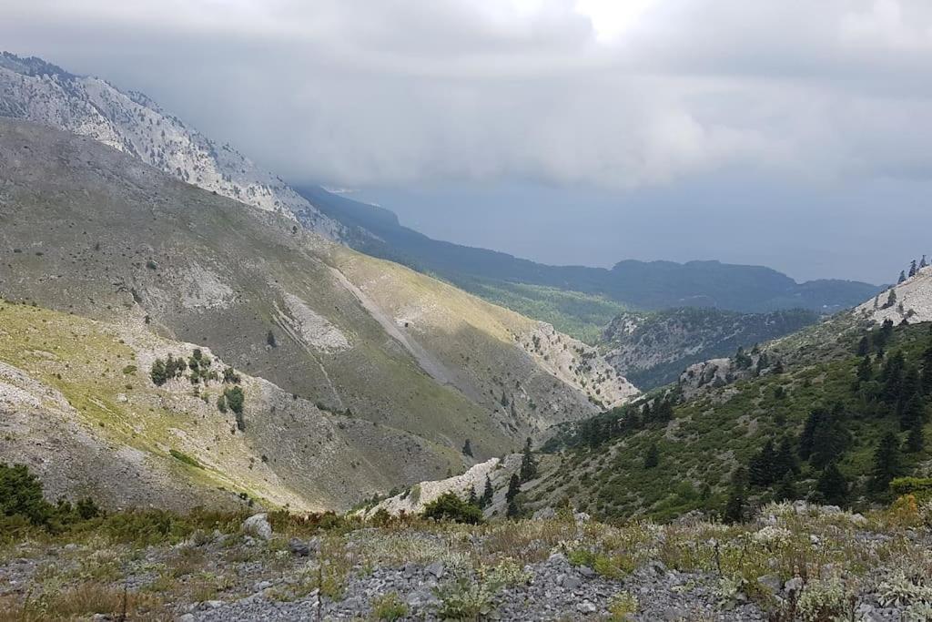 Appartamento Το Σπίτι Της Ελένης Vlachia Esterno foto