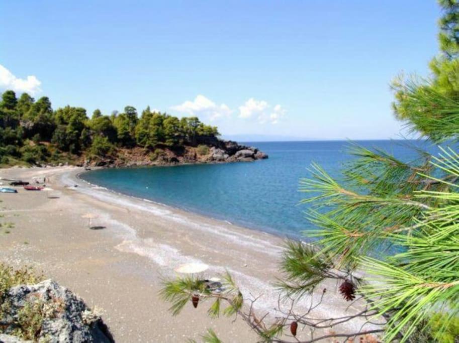 Appartamento Το Σπίτι Της Ελένης Vlachia Esterno foto