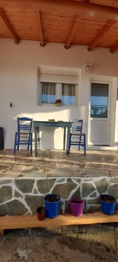 Appartamento Το Σπίτι Της Ελένης Vlachia Esterno foto