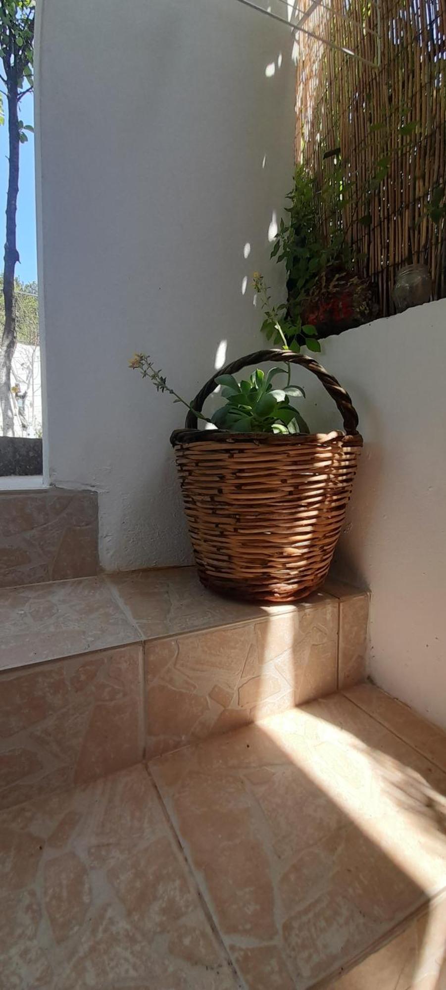 Appartamento Το Σπίτι Της Ελένης Vlachia Esterno foto
