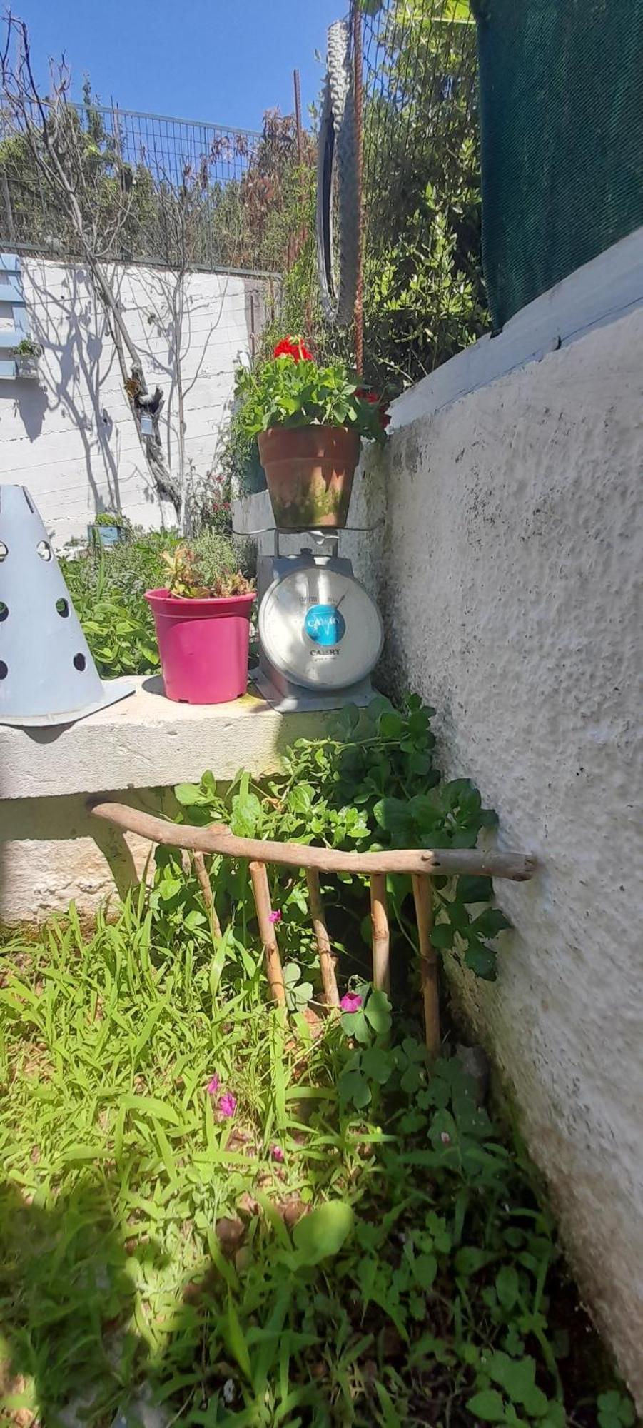 Appartamento Το Σπίτι Της Ελένης Vlachia Esterno foto