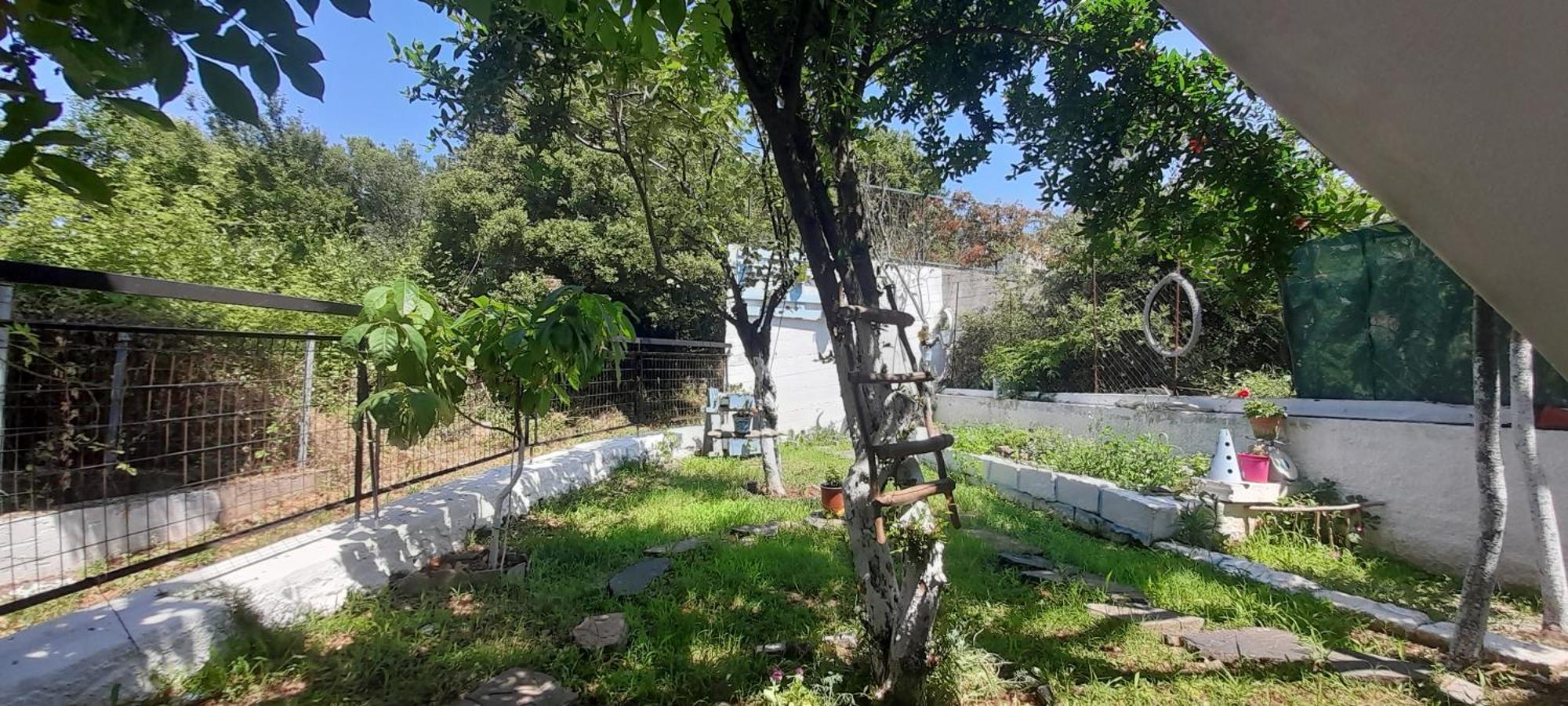 Appartamento Το Σπίτι Της Ελένης Vlachia Esterno foto